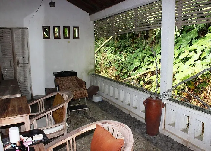 Nefatari Exclusive