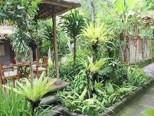 Resort Nefatari Exclusive 4*